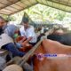 Hewan Kurban di Jateng Melimpah, Pengawasan Diperketat