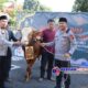 Idul Adha 1447 H, Polres Salatiga Sembelih 5 Ekor Sapi dan 9 Ekor Kambing