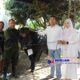 Idul Adha 1447 H, Polres Semarang Gelar Pemotongan 11 Hewan Qurban di Benteng Willem