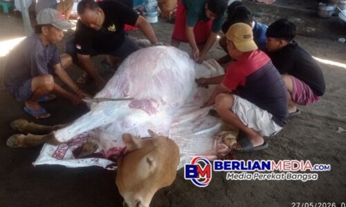 Antara Arisan Warga dan Dana Negara: Sahnya Qurban Ditinjau dari Dua Sisi