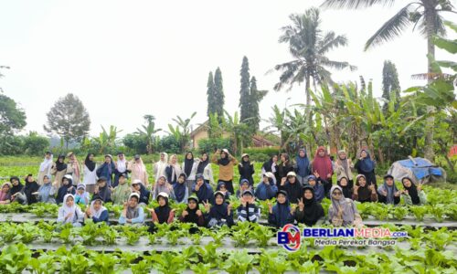 Ratusan Siswa SMPIT Nidaul Hikmah Salatiga Ikuti Program Live In, Asah Karakter di Desa