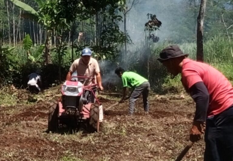 SINERGI SEMARANG INOVASI: TMI Tengaran Bangun Kemandirian Pangan Lewat Budidaya Sayuran